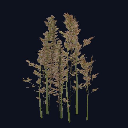 Wild reeds asset
