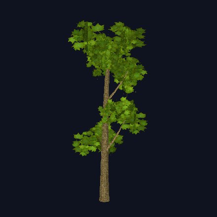 Stylized maple tree asset