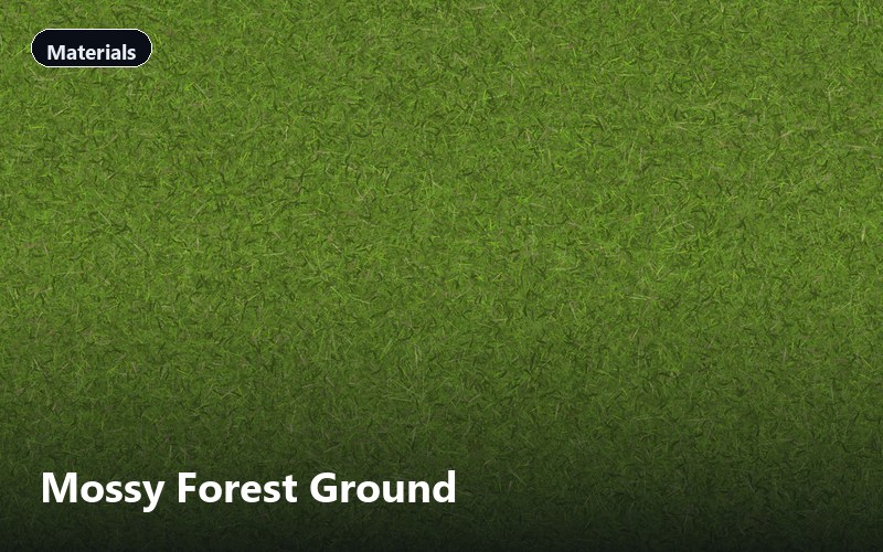 Mossy Forest Ground