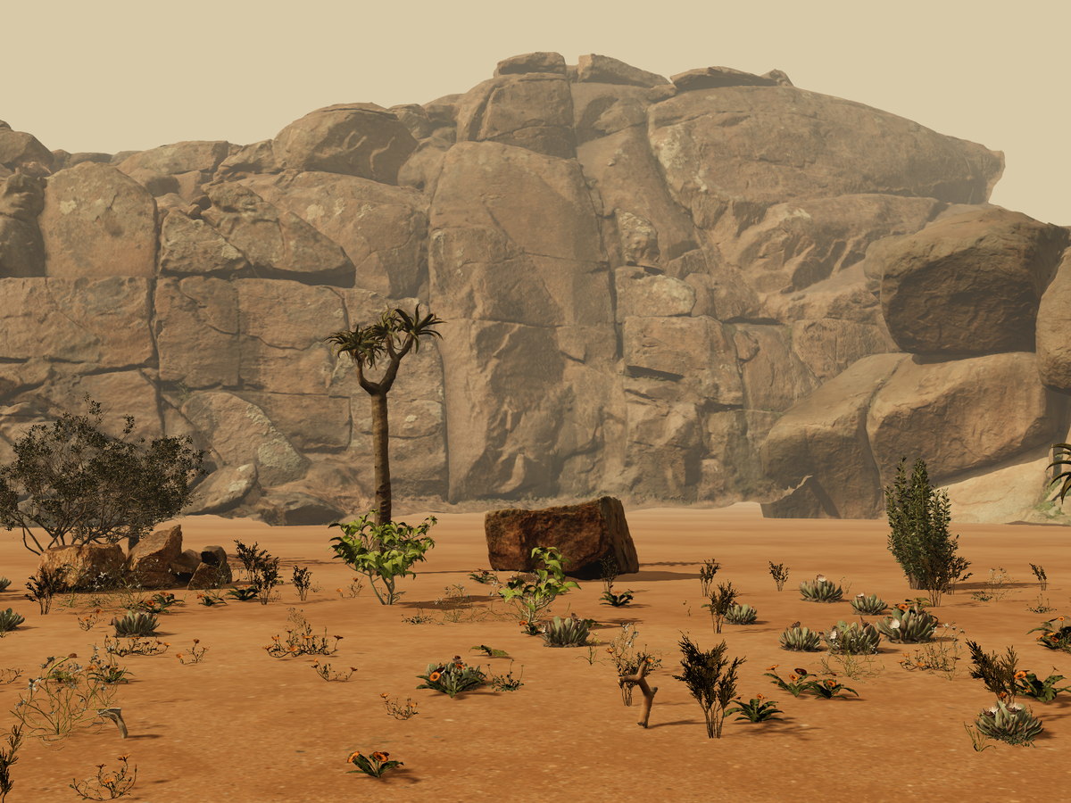 Photoscanned Desert Pack
